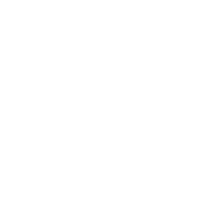 AIRBUS